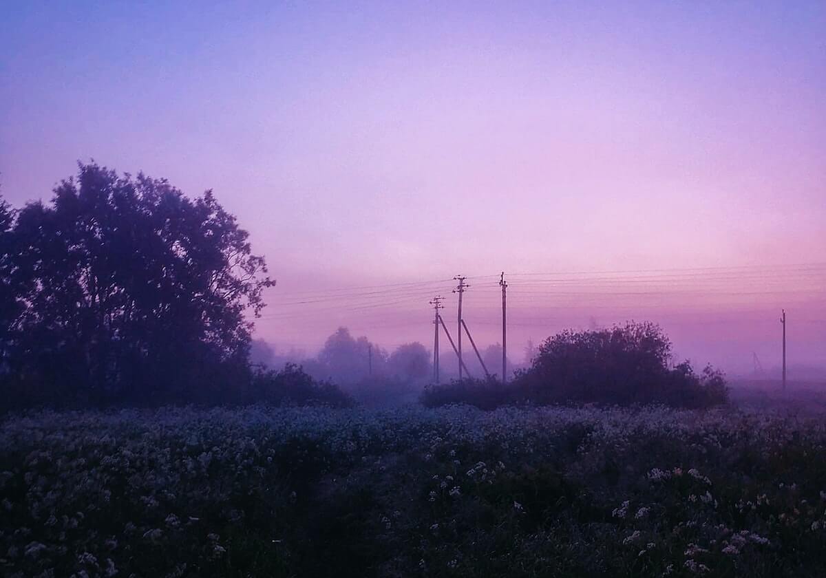 活塞主帅赛后怒喷裁判 锡伯杜回应：我不想评论